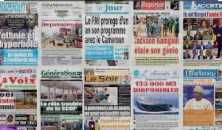 Liberté d’expression. La presse Camerounaise face au rouleau compresseur gouvernemental