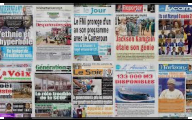 Liberté d’expression. La presse Camerounaise face au rouleau compresseur gouvernemental