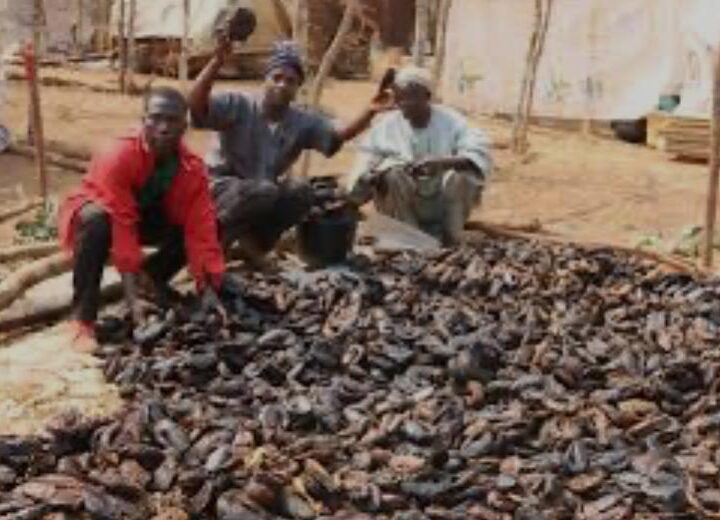 Développement de la pêche: Avec plus de 200 000 pêcheurs, le Cameroun adhère à la Charte mondiale pour la transparence dans la pêche.