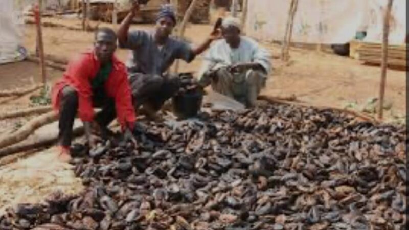 Développement de la pêche: Avec plus de 200 000 pêcheurs, le Cameroun adhère à la Charte mondiale pour la transparence dans la pêche.
