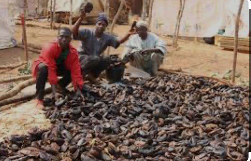 Développement de la pêche: Avec plus de 200 000 pêcheurs, le Cameroun adhère à la Charte mondiale pour la transparence dans la pêche.