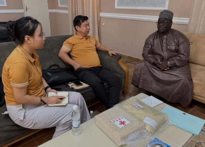 Production du riz au Tchad: Les chinois partagent leur expertise avec les riziculteurs tchadiens.