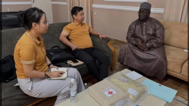 Production du riz au Tchad: Les chinois partagent leur expertise avec les riziculteurs tchadiens.