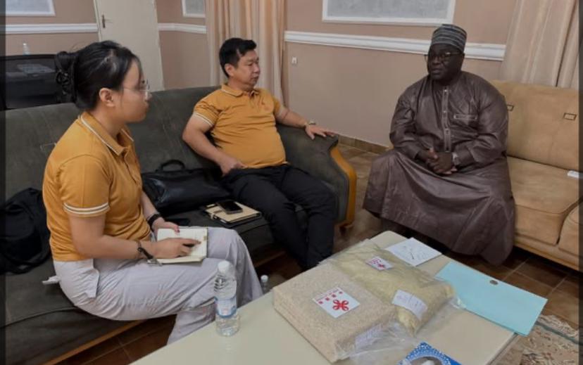 Production du riz au Tchad: Les chinois partagent leur expertise avec les riziculteurs tchadiens.
