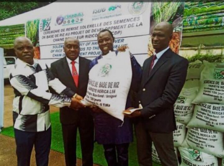 Tchad :L’UE finance la production de la farine de maïs fortifiée