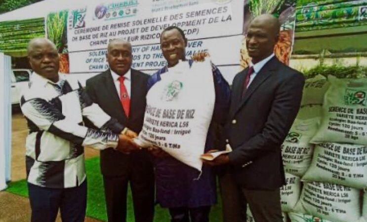 Tchad :L’UE finance la production de la farine de maïs fortifiée