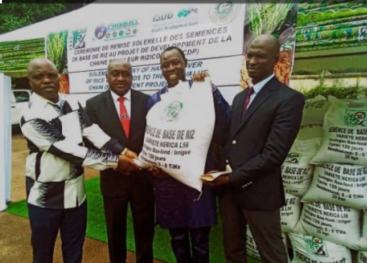 Tchad :L’UE finance la production de la farine de maïs fortifiée